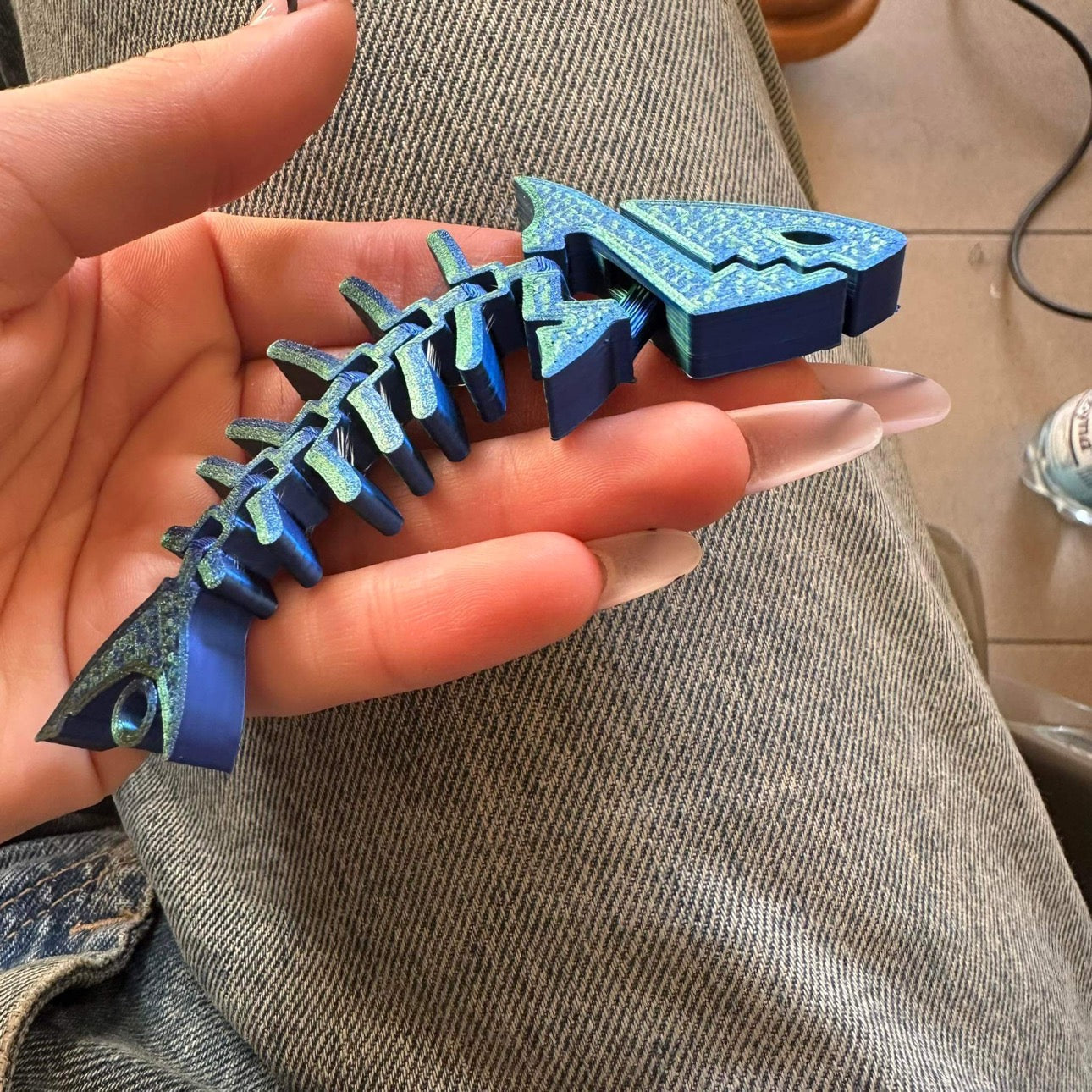 Hai 🦈